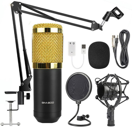 TOLEAP Microphone